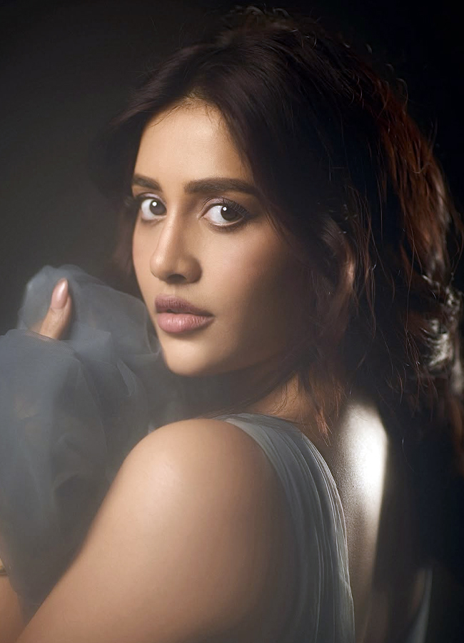 Nabha Natesh looks stunning in a saree with glamour (Photos)10