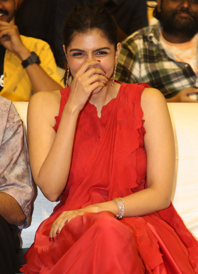 Kalyani Priyadarshan, Dulquer at the success meet of 'Khottha Loka' movie (Photos)3