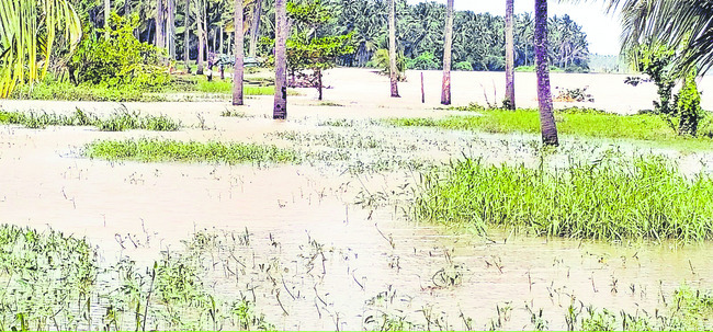 7న వాడపల్లి ఆలయం మూసివేత 1