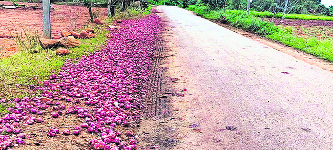 ఉల్లి.. కుళ్లి‘పాయె’!1