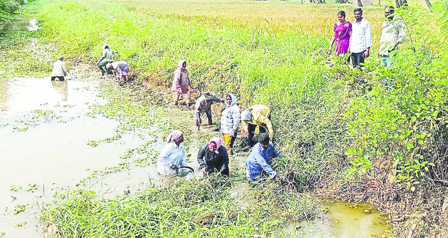 ఏదీ ఉపాధి హామీ?1