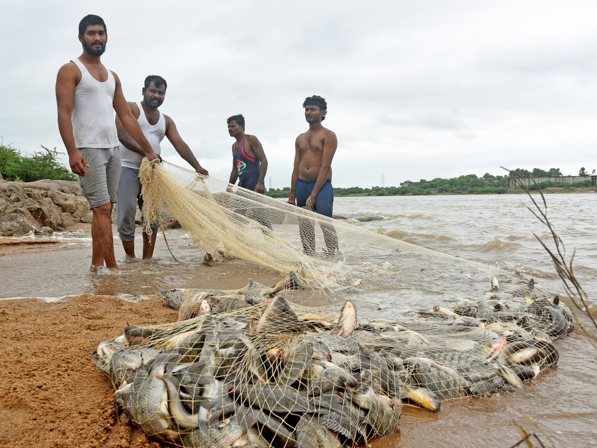 Best Photos of The Week in AP and Telangana Photo Gallery21