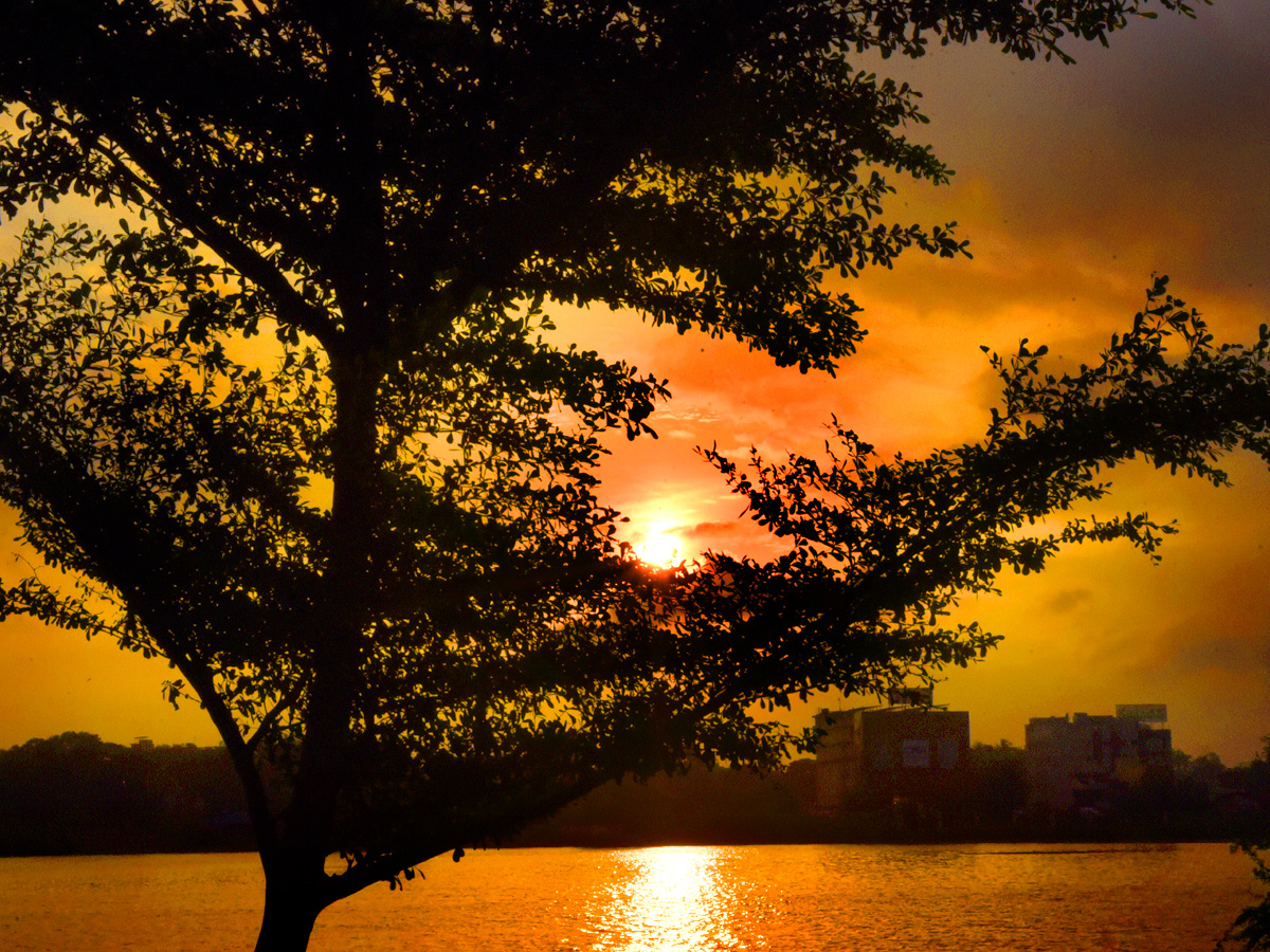 Best Photos of The Week in AP and Telangana Photo Gallery30