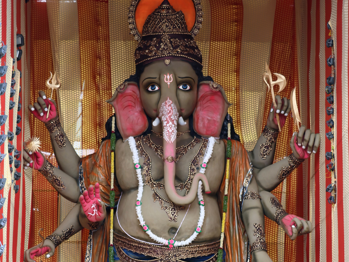 Best Photos of The Week in AP and Telangana Photo Gallery9
