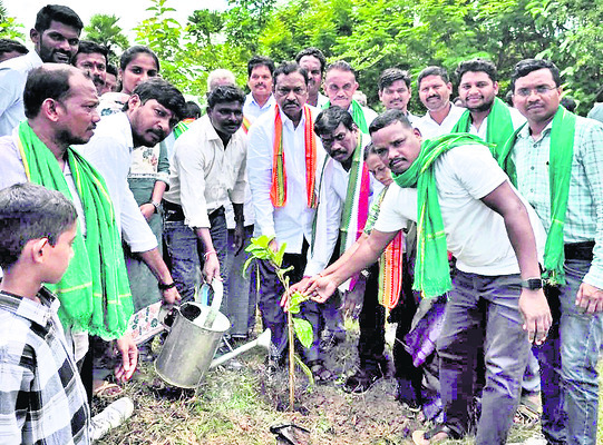 మొక్కలు నాటి పరిరక్షించాలి1