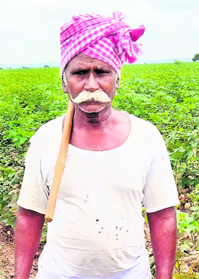 రైతుకు వి‘పత్తి’ 2