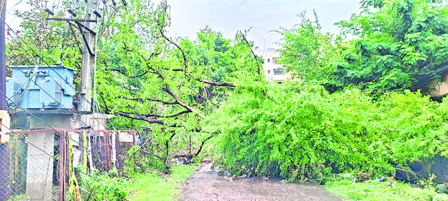 నగరాన్ని వణికించిన వాన2