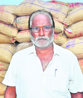పురుగులు, తుట్టెలు!2