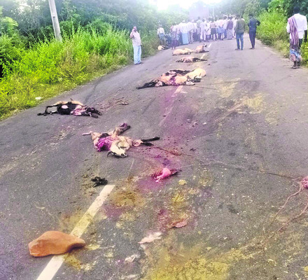 క్లుప్తంగా1