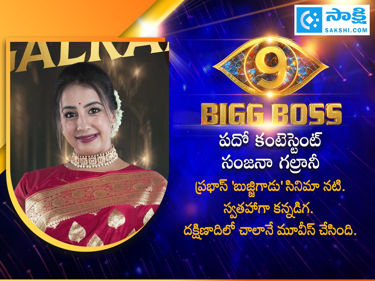 Bigg Boss 9 Contestants Background Details (Photos)11