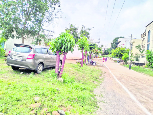 పేరుకే వన మహోత్సవం 1