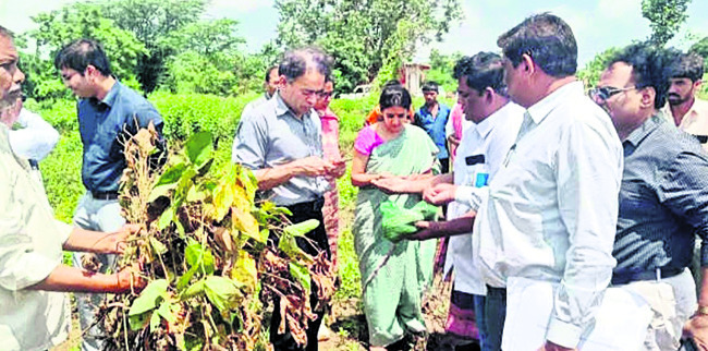 నేత్రదానంపై  ప్రచారం అభినందనీయం 
1
