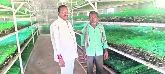 యూరియా.. లేదయ!2