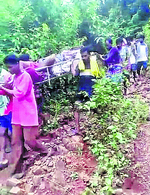 భయపెట్టిన కింగ్‌కోబ్రా 1