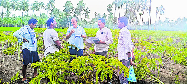 కదలిన ఉద్యాన అధికారులు 1