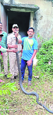 తెరచాటుకు కోటదుర్గమ్మ 2
