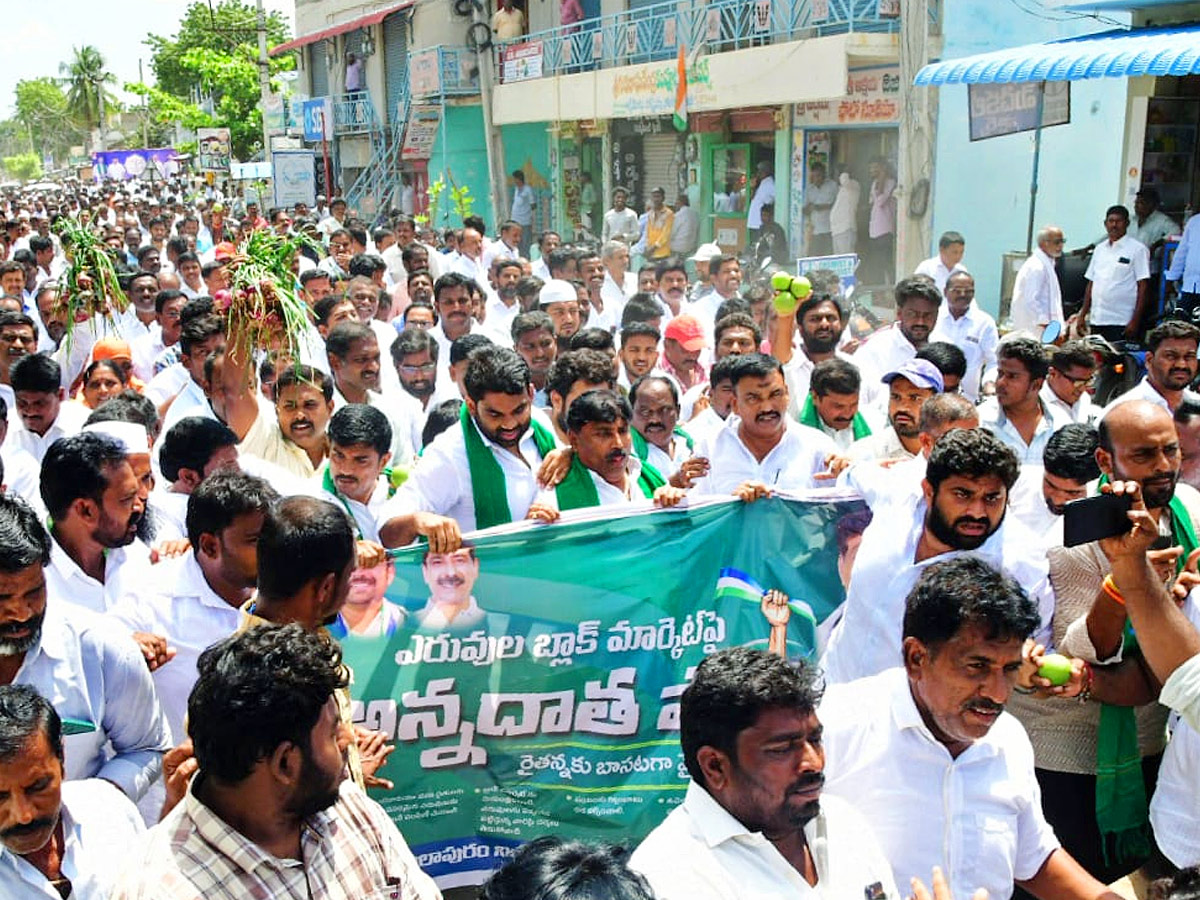 Andhra Pradesh State Wide Annadata Poru Protests Photos33