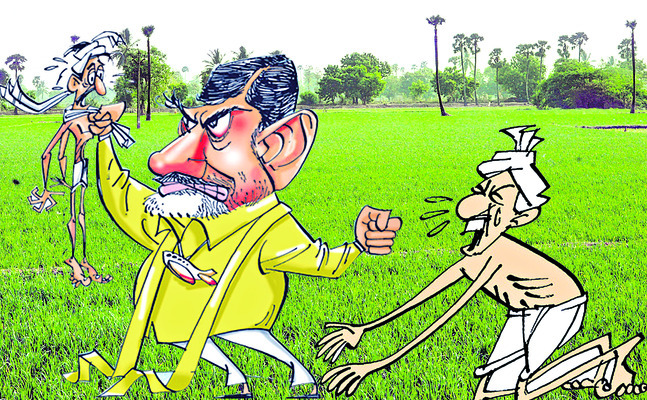 జిల్లాలో యూరియా అవసరమే లేదా?1