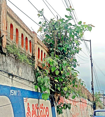 ప్రయాణం ఇక సాఫీ!1