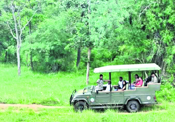 జంగిల్‌ సఫారీ పునఃప్రారంభం 1
