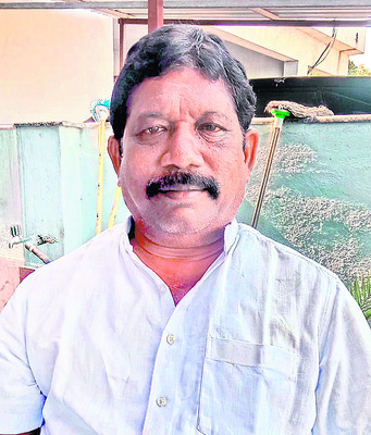 ఽఏడాది పొడవునా ధరలు పెరగడం లేదు
1