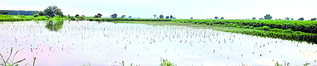 విజయవాడ సిటీ7