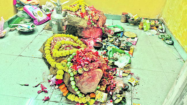 విభిన్నంగా విజయదశమి2