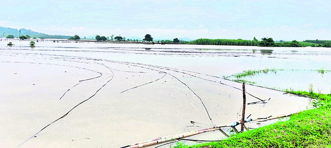 గోదావరి వరదలో ఆశల గల్లంతు1