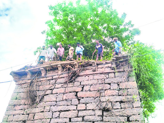 పంటల నమోదు తప్పనిసరి
2