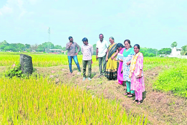 మద్యం టెండర్లకు 191 దరఖాస్తులు  1