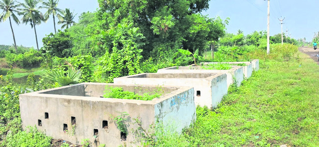 స్వచ్ఛ బురిడీ 2