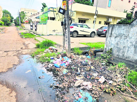 స్వచ్ఛ బురిడీ 3