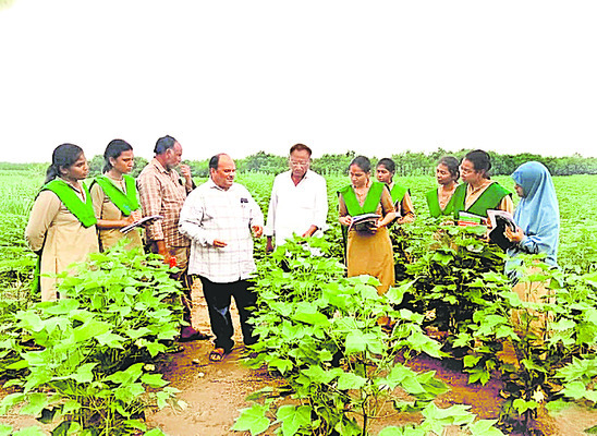 తరగతి గది నుంచి పొలం వద్దకు.. 1