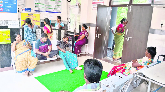 స్వచ్ఛ బురిడీ 1
