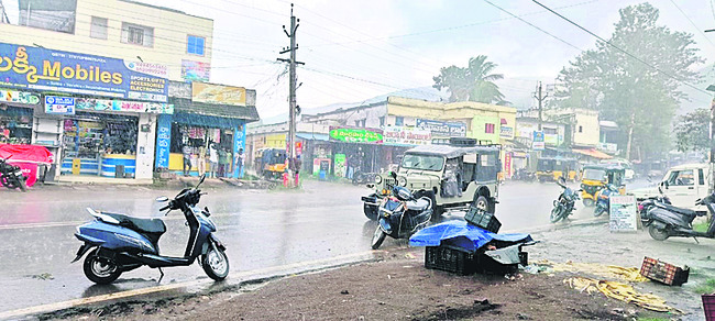 మన్యంలో విస్తారంగా వర్షాలు 1