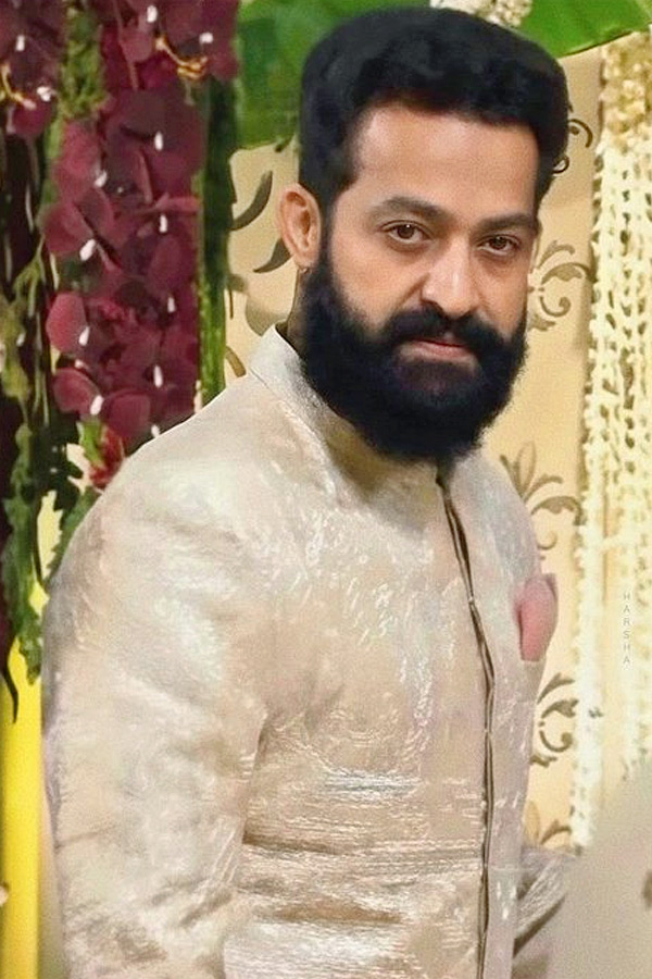 Jr NTR brother in law Narne Nithin wedding Photos2