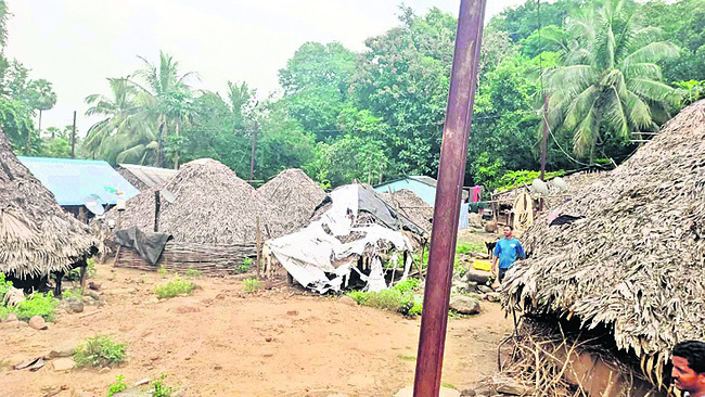 గిరిజనుల వేదన... అరణ్య రోదన 1