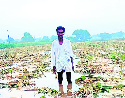 బొమ్మనహాళ్లో కుండపోత వర్షం 1