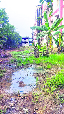గురుకుల విద్యార్థులు 2