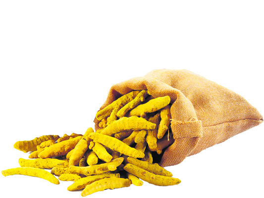 నిజామాబాద్1