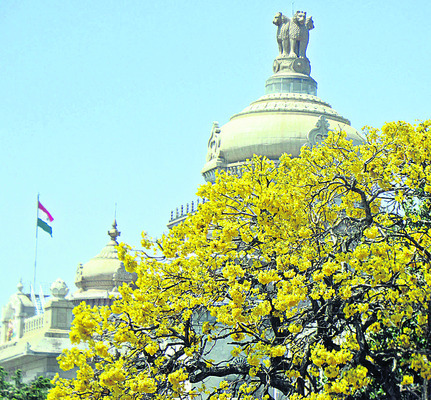 నవంబరు.. జాతకం తారుమారు?1
