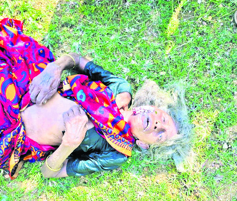 రోడ్డు ప్రమాదంలో నెమలి మృతి 2