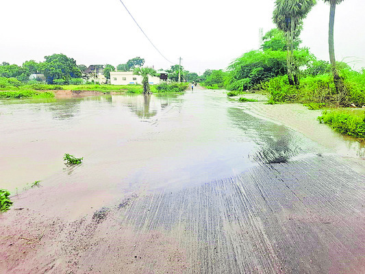 పేటలో దంచికొట్టిన వాన 1