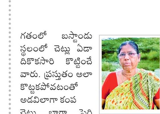 పల్నాడు5
