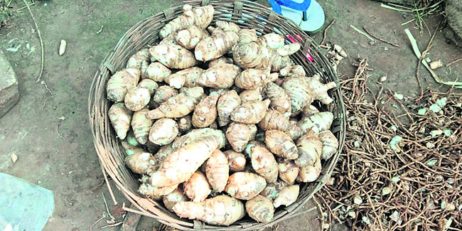 చలువ పిండి3