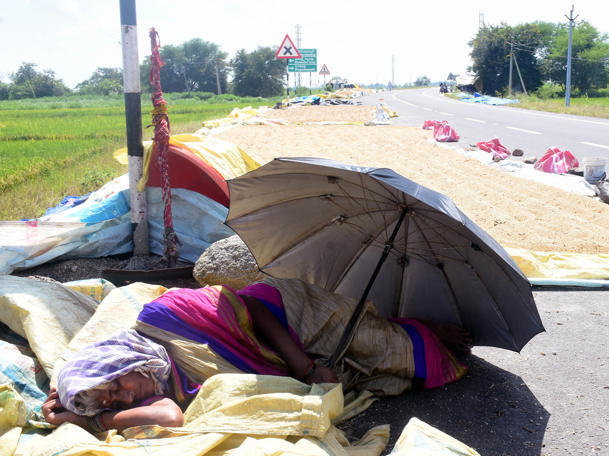 Best Photos of The Week in AP and Telangana Photo Gallery15