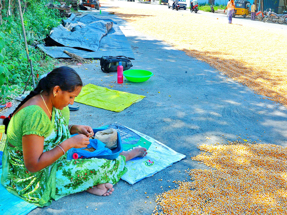Best Photos of The Week in AP and Telangana Photo Gallery18