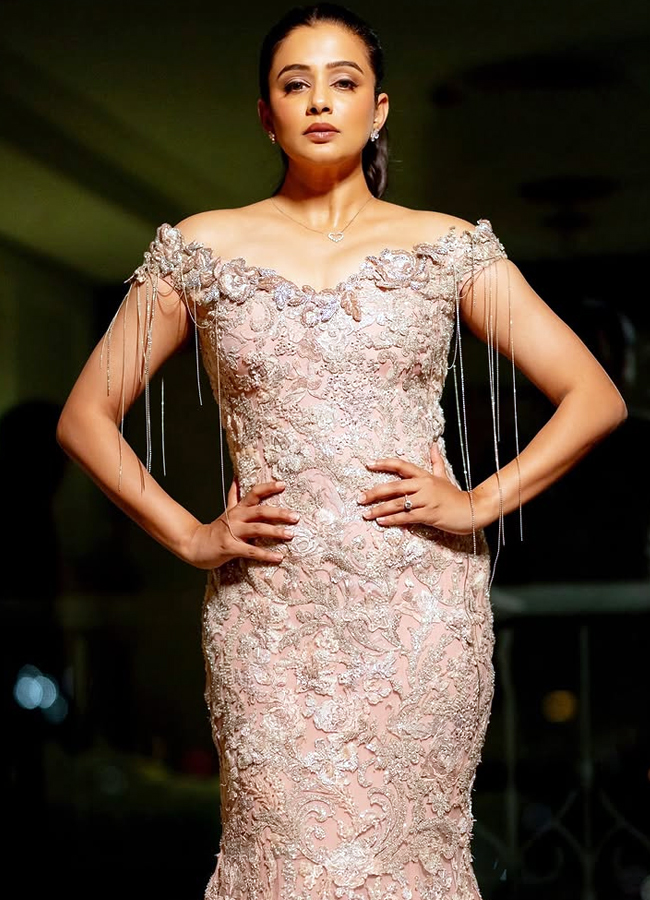 Priyamani in designer dress at Filmfare Awards ceremony (photos)4