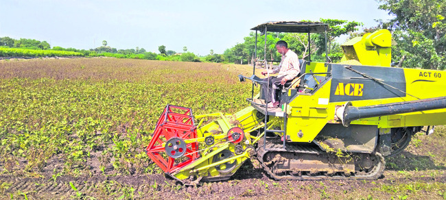 జోరందుకున్న పంట కోతలు 1