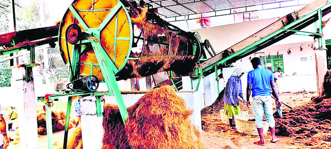 కాసులు కురిపిస్తున్న పీచు 1